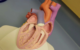 Διατροφικές συμβουλές για μια υγιή καρδιά