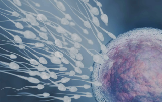 Πώς να Βελτιώσεις την Ποιότητα του Σπέρματος με τη Διατροφή