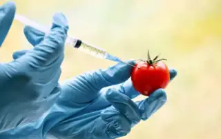 cookout.skai.gr: Όταν η επιστήμη αλλάζει το φαγητό: Τι κρύβεται πίσω από τα μεταλλαγμένα τρόφιμα