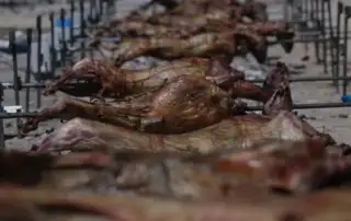 Το υπέρ γεύμα της Λαμπρής: Όσα πρέπει να γνωρίζουμε για να αποφύγουμε τη δυσφορία